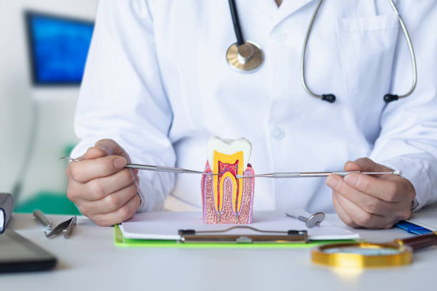 Best Emergency Tooth Extraction in Parkville, MD